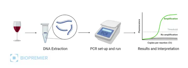Wine DNA Extraction