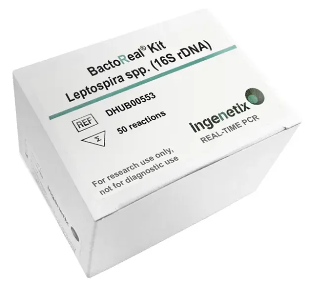 Imagem de BactoReal® Kit Leptospira spp. (16S rDNA) Humano