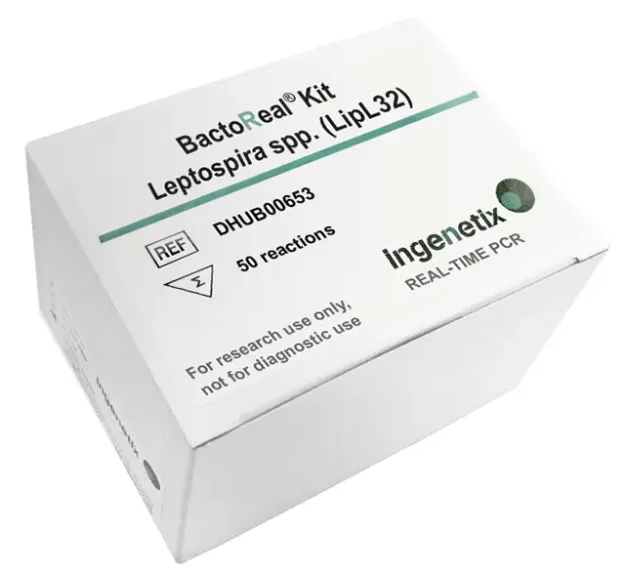 Imagem de BactoReal® Kit Leptospira spp. (LipL32) Humano