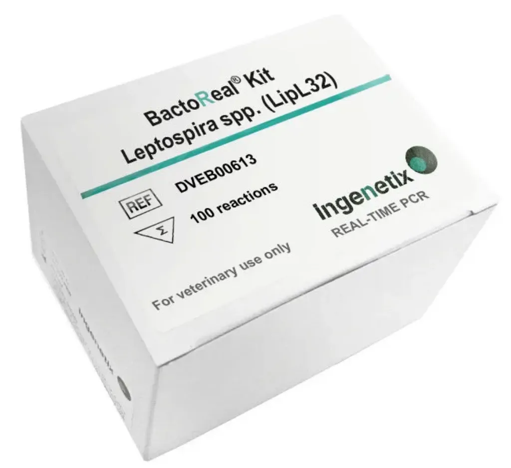 Imagem de BactoReal® Kit Leptospira spp. (LipL32) VET