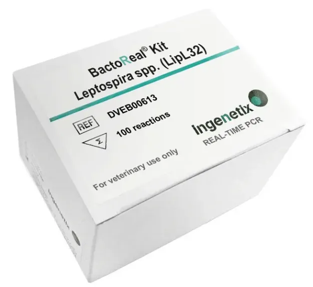 Imagem de BactoReal® Kit Leptospira spp. (LipL32) VET