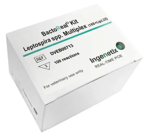Imagem de BactoReal® Leptospira spp. Multiplex (16S rDNA + LipL32)