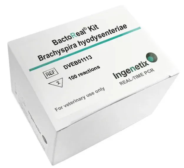 Imagem de BactoReal® Brachyspira hyodysenteriae