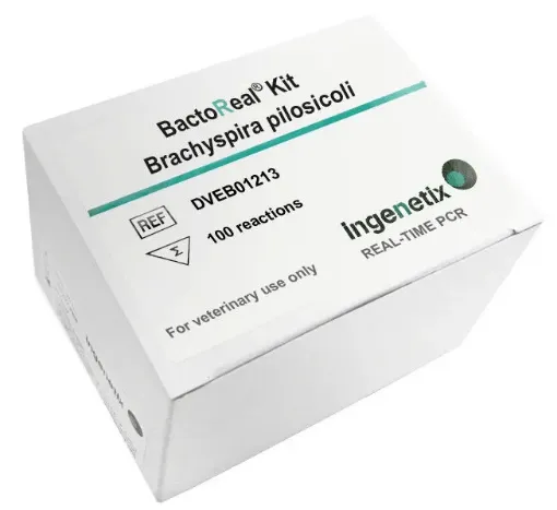 Picture of BactoReal® Kit Brachyspira pilosicoli