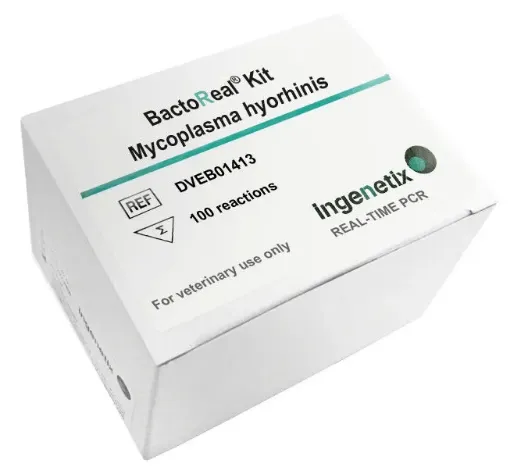 Picture of BactoReal® Kit Mycoplasma hyorhinis