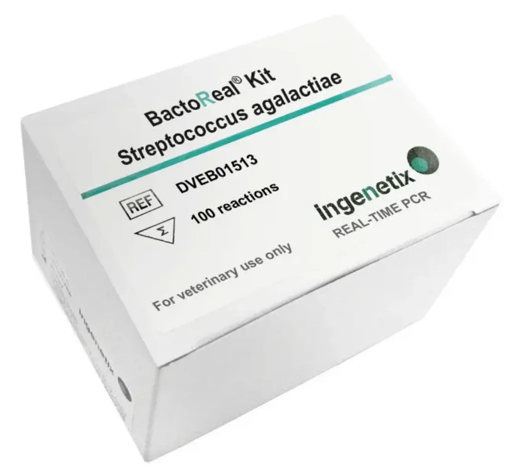 Imagem de BactoReal® Kit Streptococcus agalactiae VET