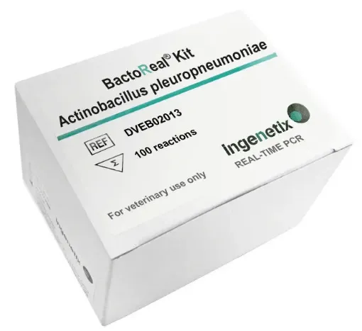 Picture of BactoReal® Kit Actinobacillus pleuropneumoniae