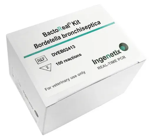 Picture of BactoReal® Kit Bordetella bronchiseptica