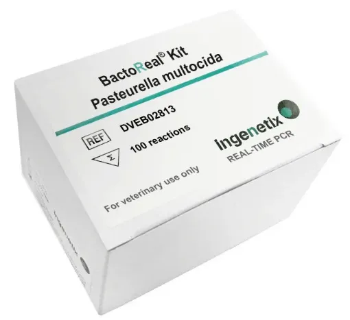 Picture of BactoReal® Kit Pasteurella multocida