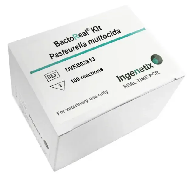 Imagem de BactoReal® Pasteurella multocida