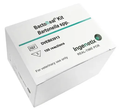Picture of BactoReal® Kit Bartonella spp.