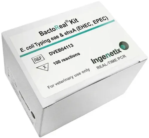Picture of BactoReal® Kit E. coli Typing (EHEC EPEC) eae & ehxA