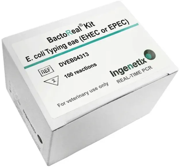 Imagem de BactoReal® E. coli Typing (EHEC or EPEC) eae