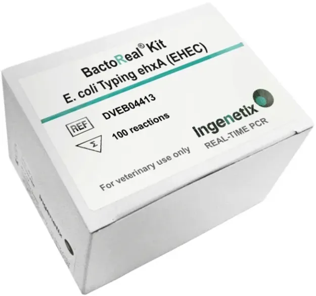 Imagem de BactoReal® E. coli Typing (EHEC) ehxA
