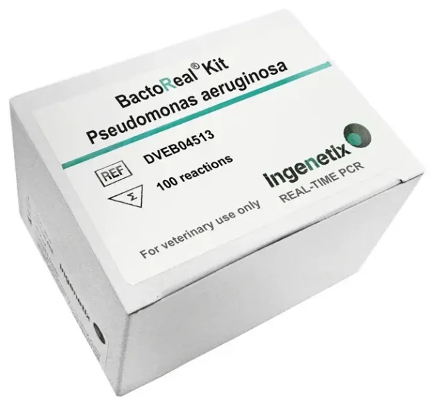 Imagem de BactoReal® Pseudomonas aeruginosa