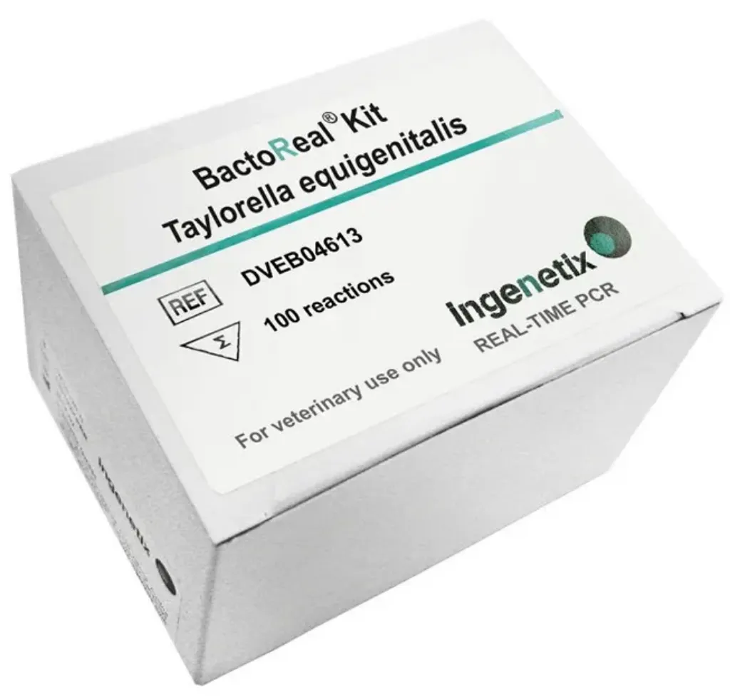 Imagem de BactoReal® Taylorella equigenitalis
