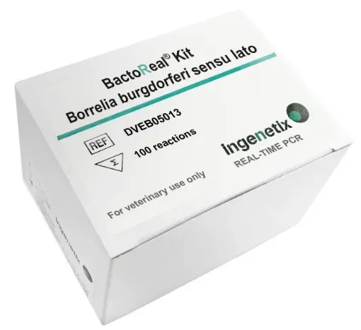 Picture of BactoReal® Kit Borrelia burgdorferi sensu lato