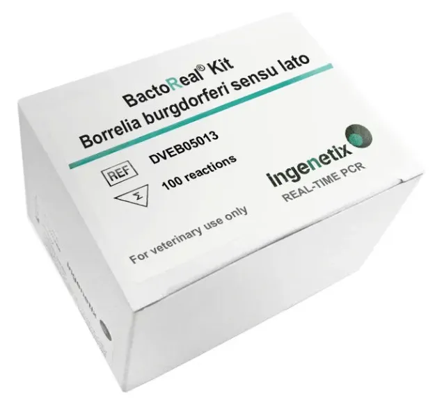 Imagem de BactoReal® Borrelia burgdorferi sensu lato