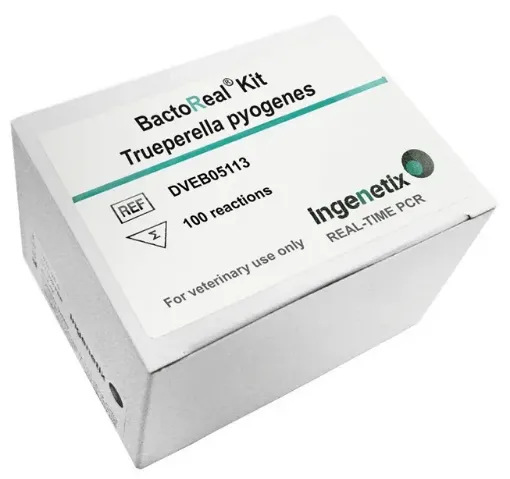 Picture of BactoReal® Kit Trueperella pyogenes