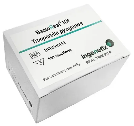 BactoReal® Kit Trueperella pyogenes - BioPremier