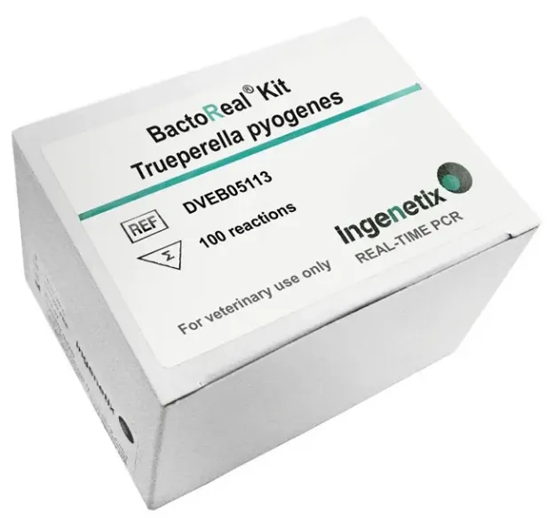 Imagem de BactoReal® Trueperella pyogenes