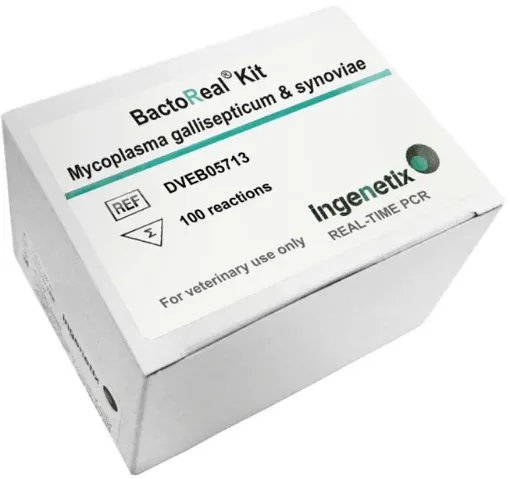 Picture of BactoReal® Kit Mycoplasma gallisepticum & synoviae