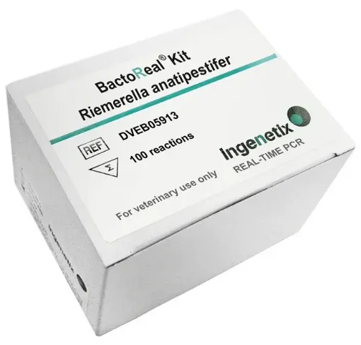 Picture of BactoReal® Kit Riemerella anatipestifer