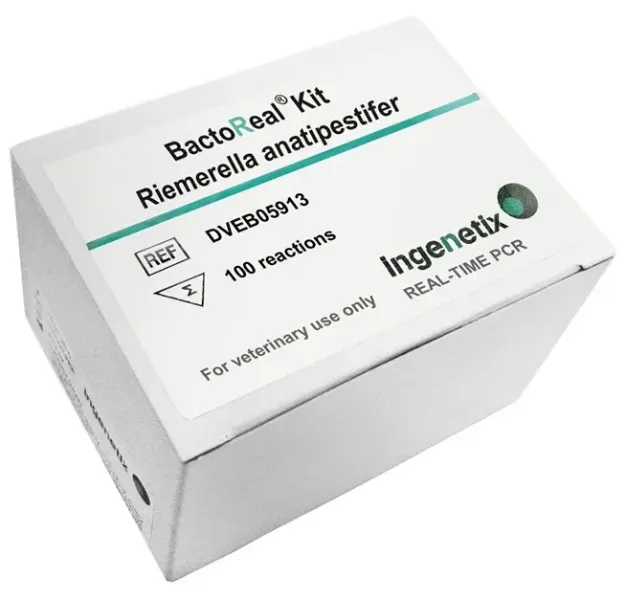 Imagem de BactoReal® Riemerella anatipestifer