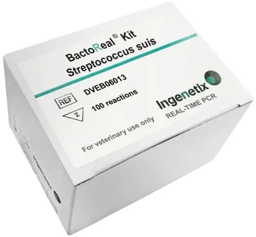 Picture of BactoReal® Kit Streptococcus suis