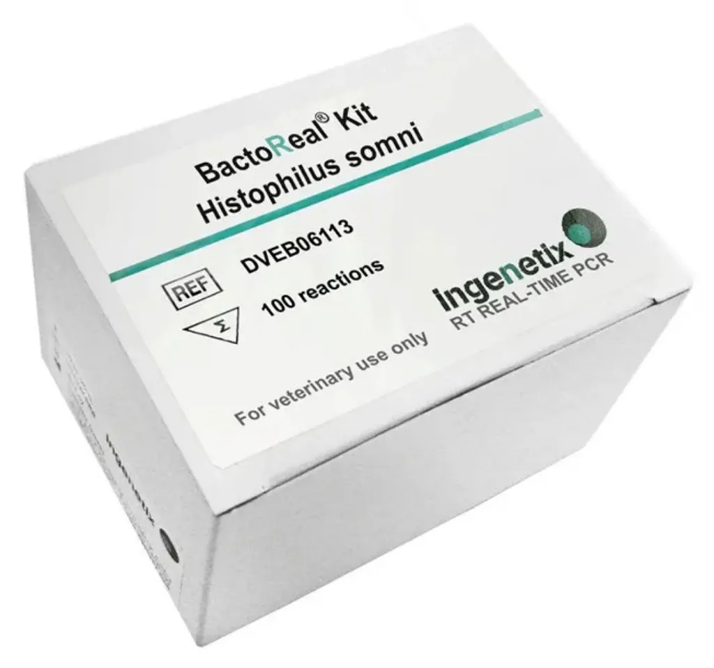 Imagem de BactoReal® Histophilus somni