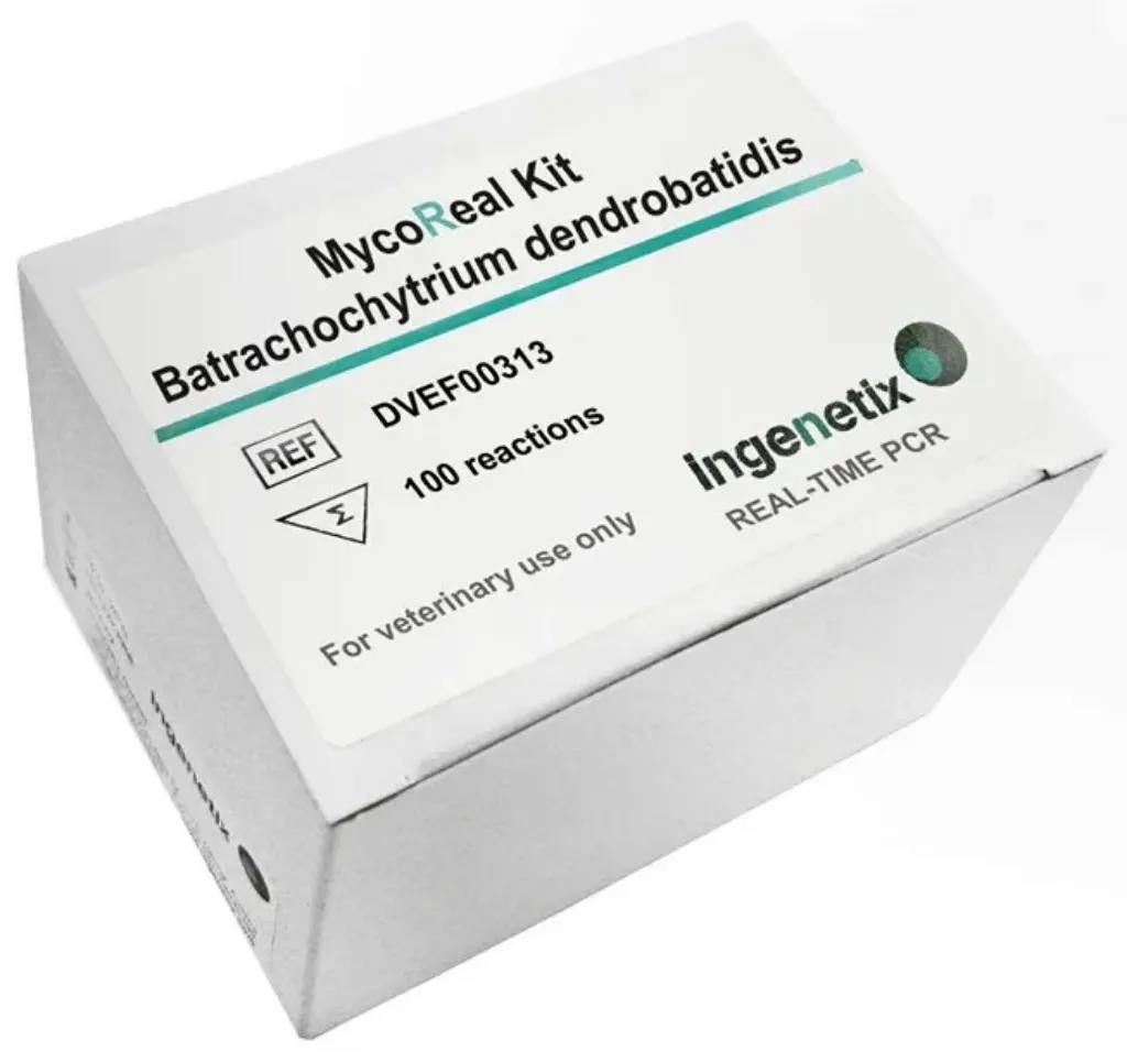 Imagem de MycoReal Batrachochytrium dendrobatidis