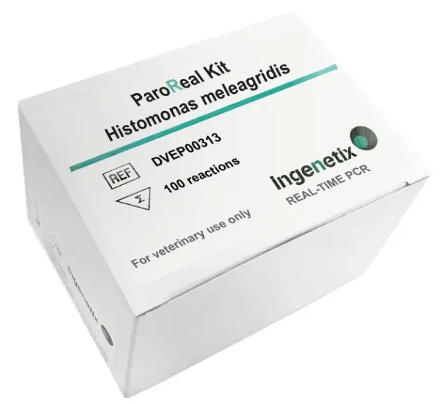 Imagem de ParoReal Histomonas meleagridis