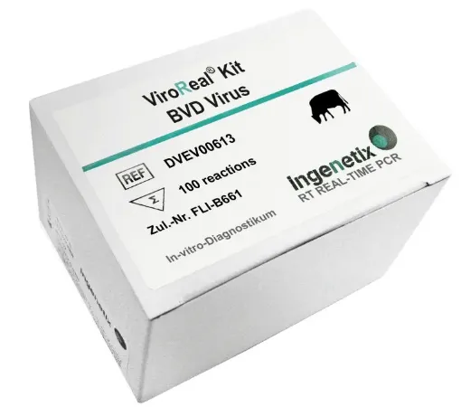 Picture of ViroReal® Kit bovine viral diarrhea (BVD) Virus
