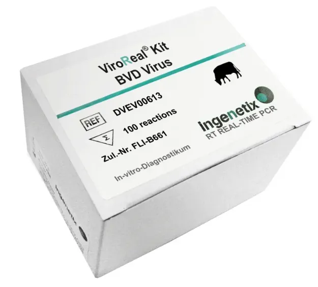 Imagem de ViroReal® Bovine viral diarrhea (BVD) Virus