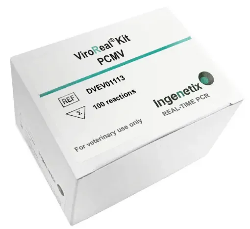 Picture of ViroReal® Kit Porcine Cytomegalovirus (PCMV)