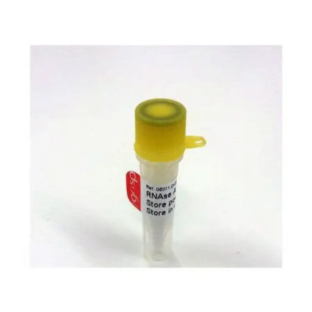Picture of RNAse A (Proteinase free lyophilized >50KU/mg)