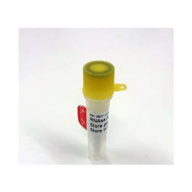 Picture of RNAse A (Proteinase free lyophilized >50KU/mg)