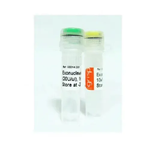 Picture of Exonuclease I (20U/ul)