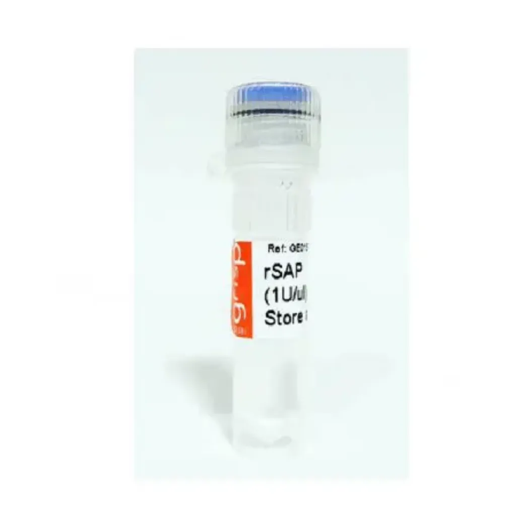 Picture of Shrimp Alkaline Phosphatase (1U/uL)