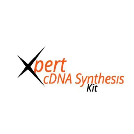 Imagem de Xpert Sintese cDNA Kit