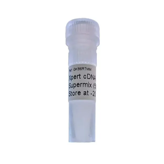 Imagem de Xpert cDNA Synthesis Supermix