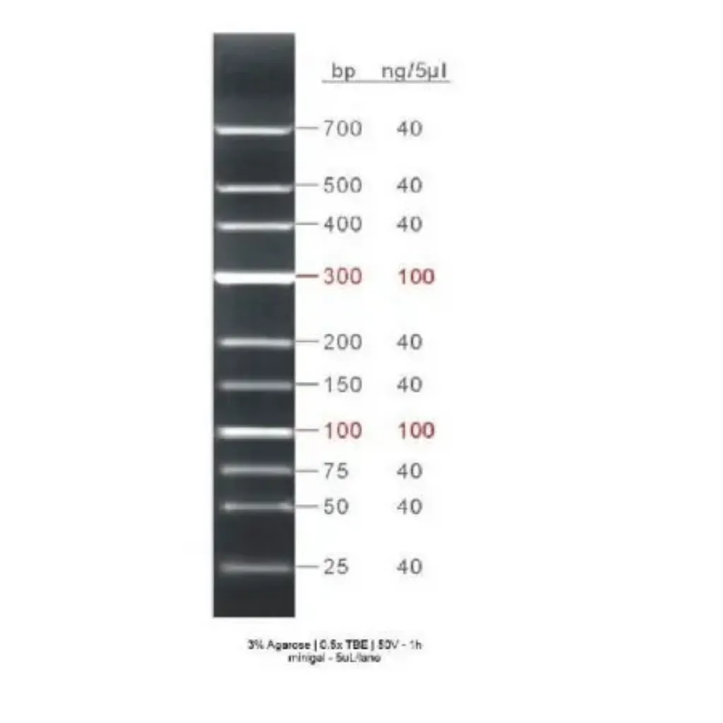 Picture of GRS Low Range Ladder