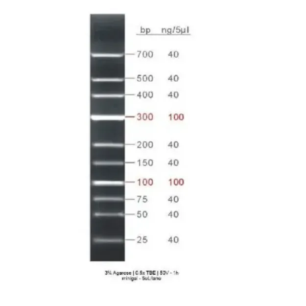 Picture of GRS Low Range Ladder