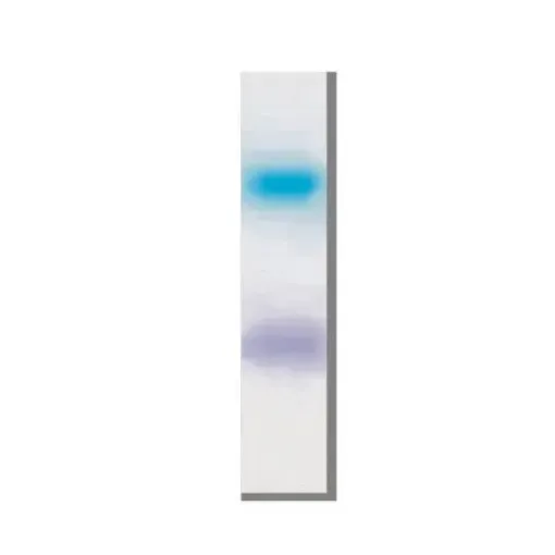 Imagem de GRS DNA Loading Buffer azul (6X)