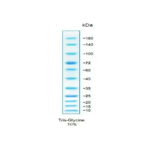 Imagem de Marcador de proteína Azul (100 linhas)