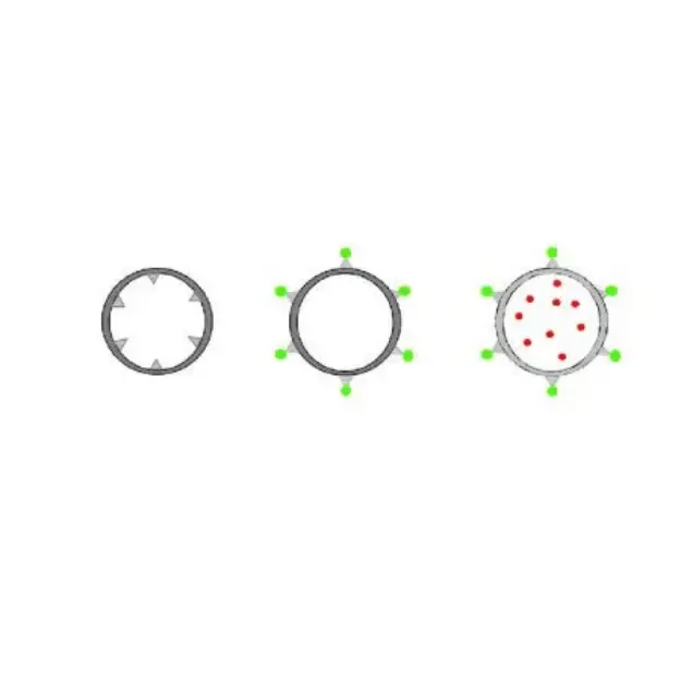 Picture of Xpert Annexin V-FITC Apoptosis Detection Assay