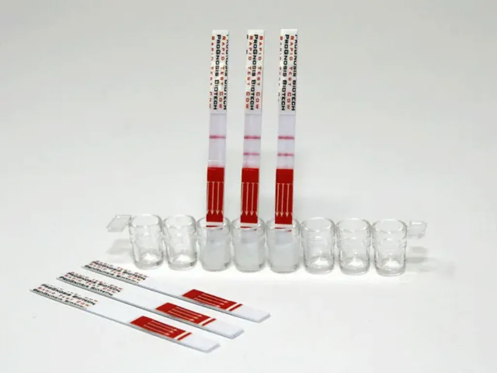 Picture of SYMMETRIC OCHRATOXIN WINE