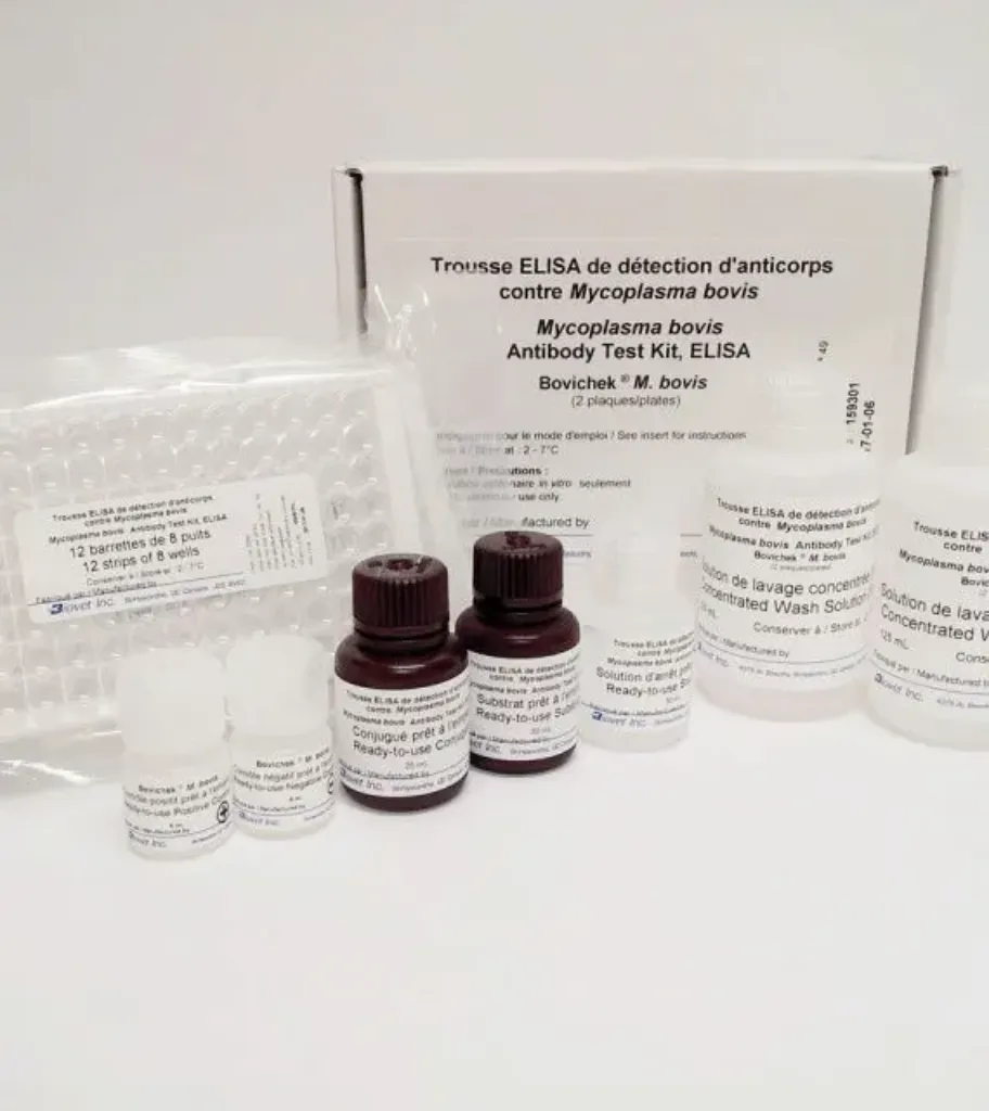 Picture of ELISA Test Mycoplasma Bovis