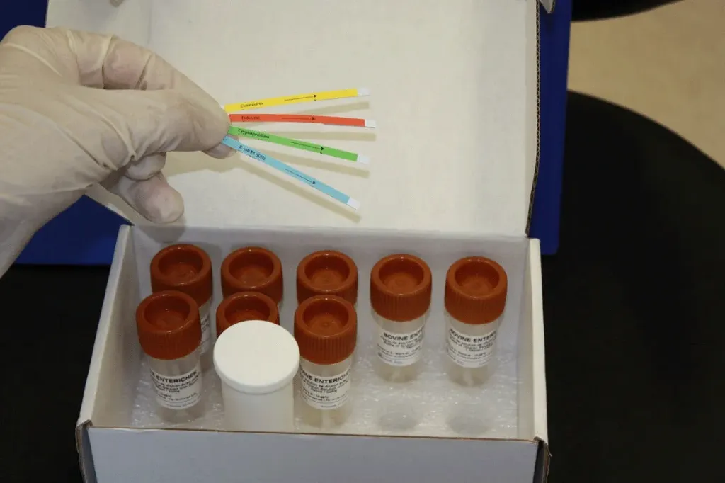 Picture of RAPID TEST Bovine Rotavirus coronavirus Escherichia coli K99 E Cryptosporidium