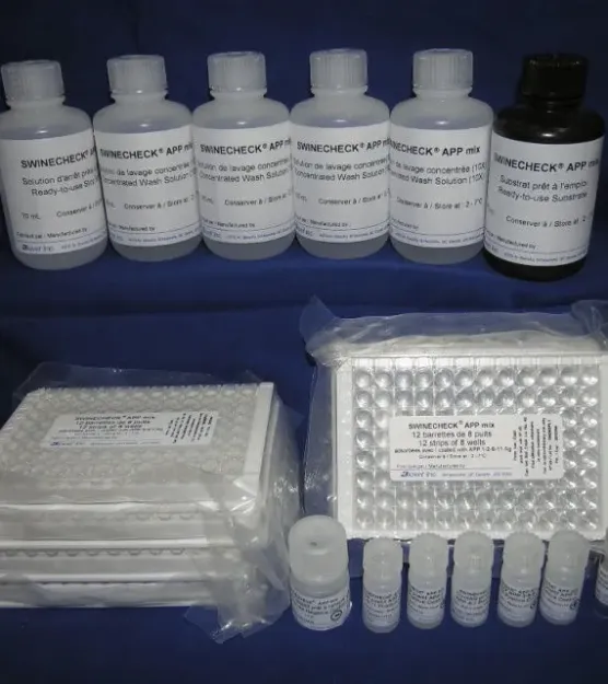 Picture of ELISA TEST Actinobacillus pleuropneumoniae serotypes 1 9 11 Swinecheck APP 1-9-11 ELISA